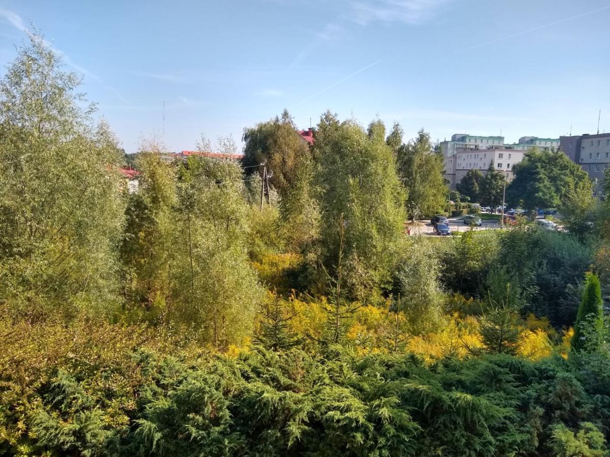 Green Apartment Z Bezplatnym Parkingiem Opolznevoye Bagian luar foto