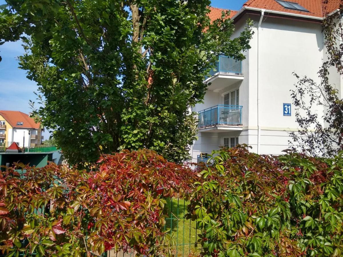 Green Apartment Z Bezplatnym Parkingiem Opolznevoye Bagian luar foto